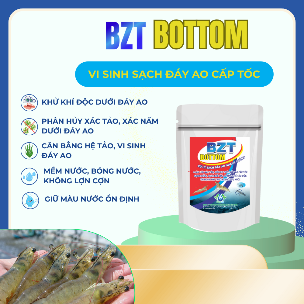 BZT BOTTOM